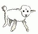 Mouton1.jpg